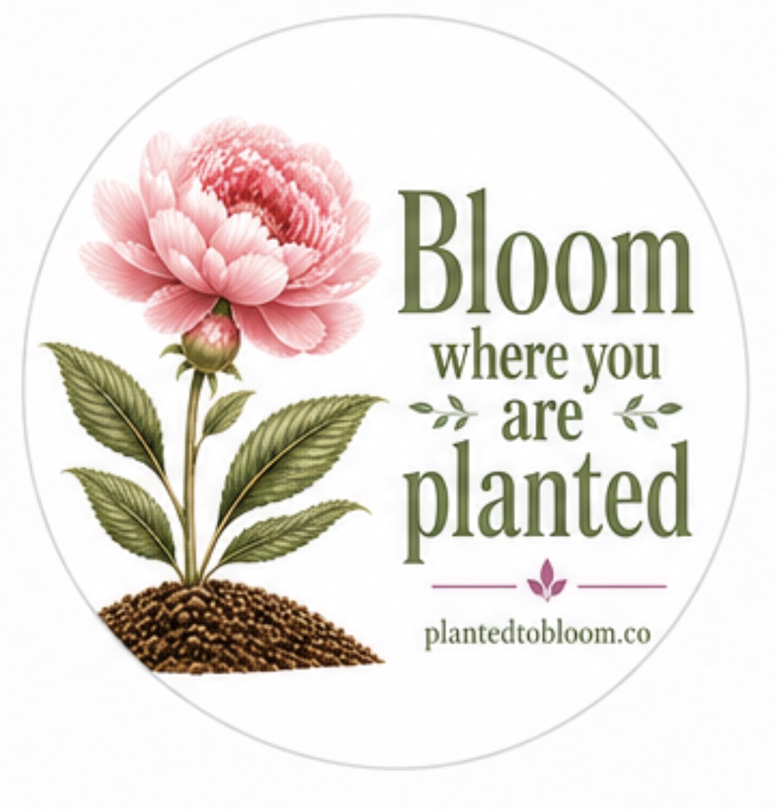 Bloom Where You Are Planted